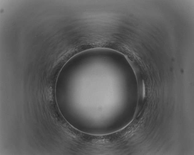 X0000073930689200608181115