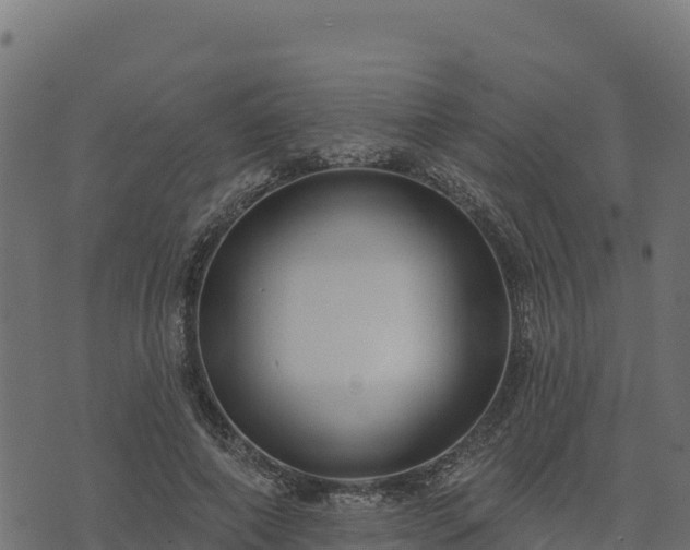 X0000073930690200608181115