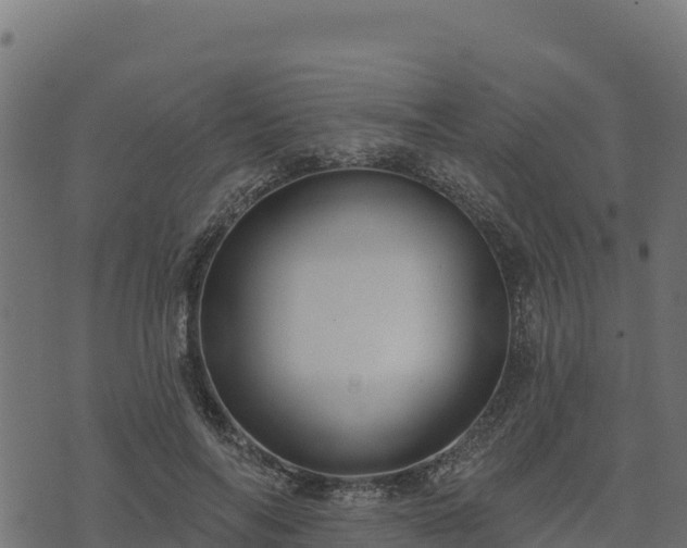 X0000073930694200608181115