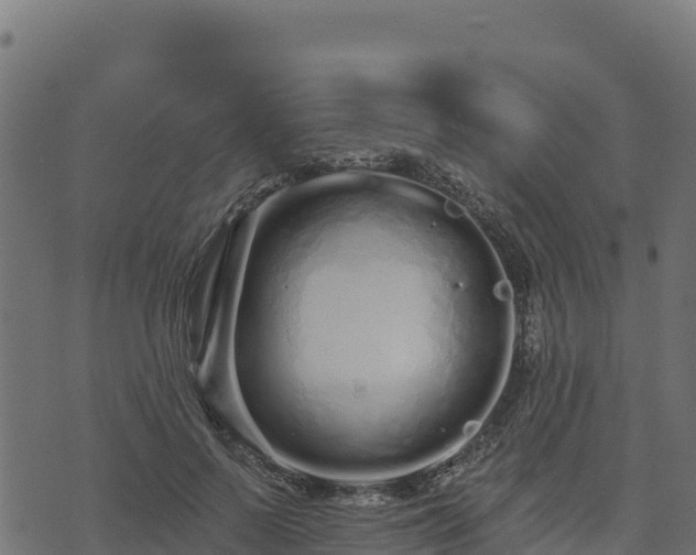 X0000073930695200608181115