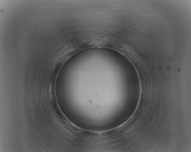 X0000073930696200608181115