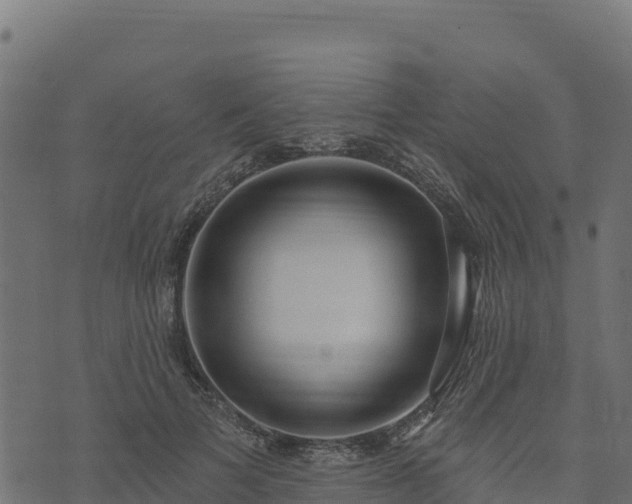 X0000073930697200608181115