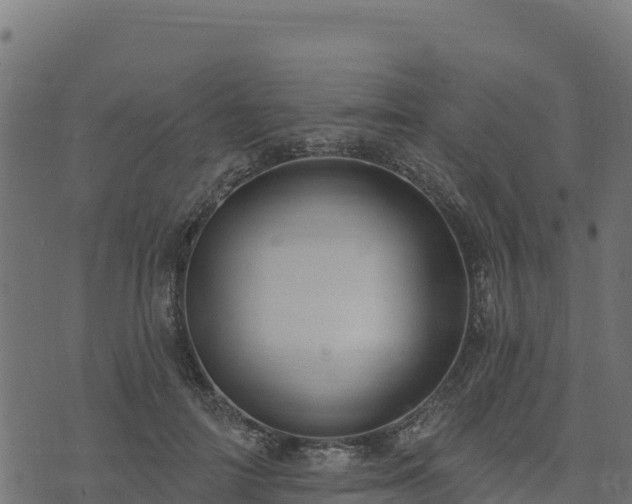 X0000073930698200608181114