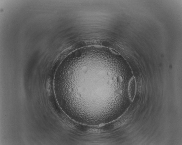 X0000073930699200608181114