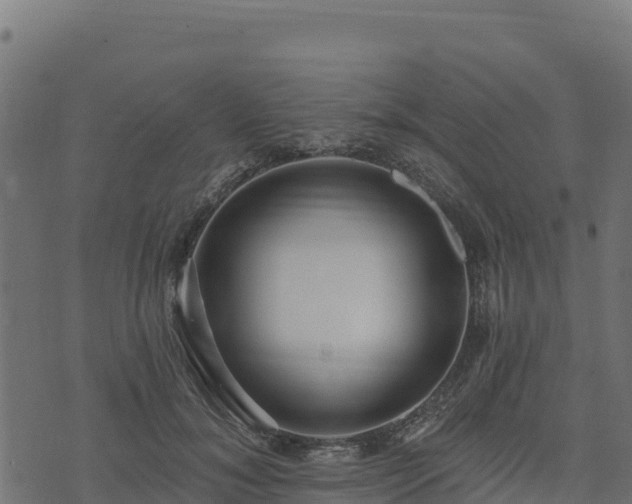 X0000073930700200608181114