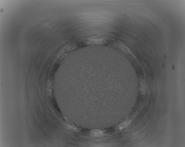 X0000073930701200608181114