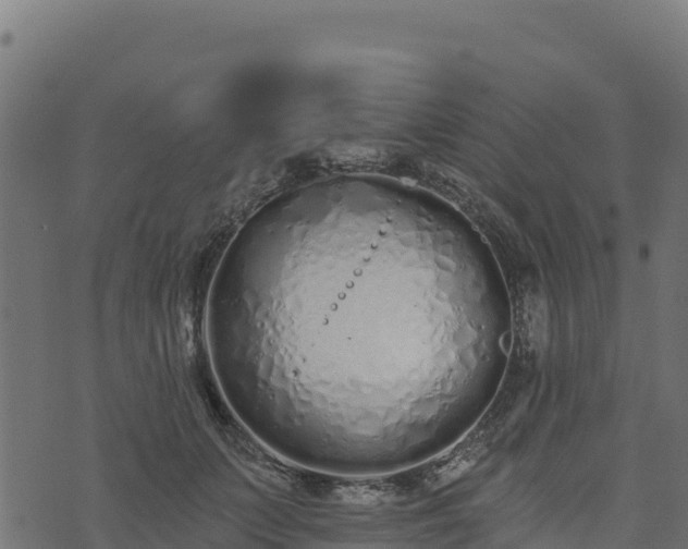 X0000073930703200608181114