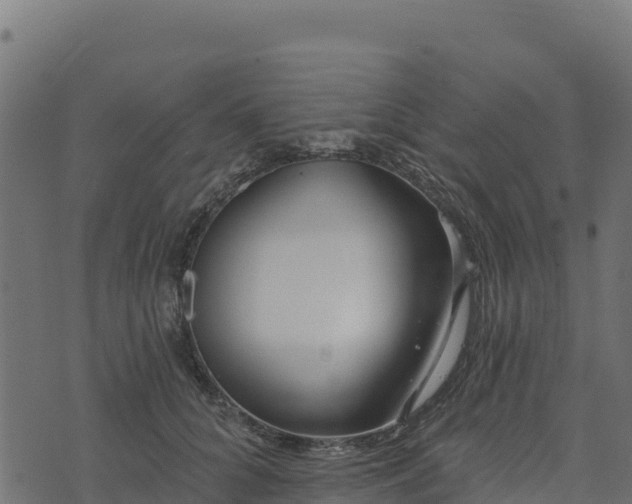 X0000073930704200608181114