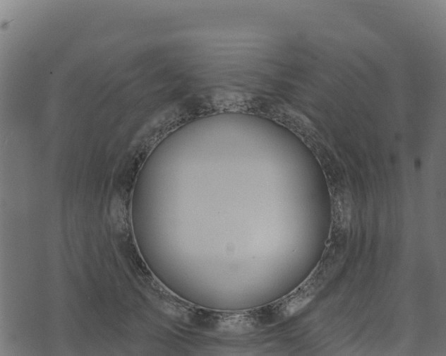 X0000073930705200608181114