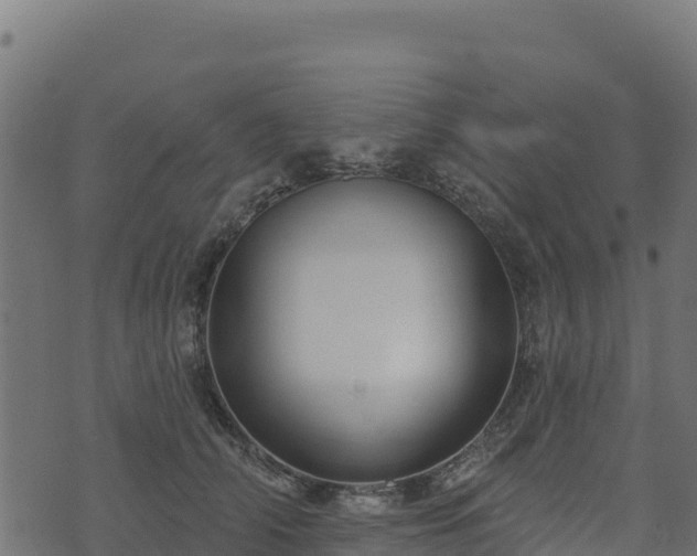 X0000073930706200608181114