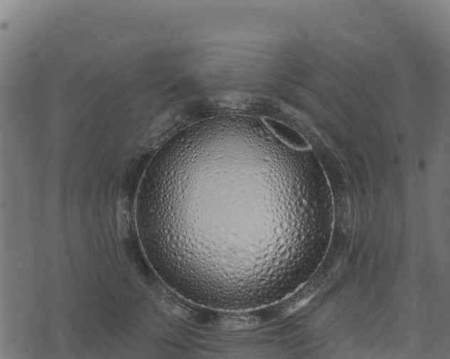 X0000073930707200608181114