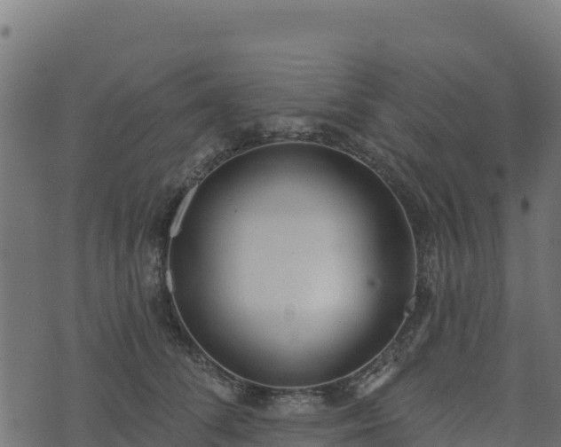 X0000073930708200608181114