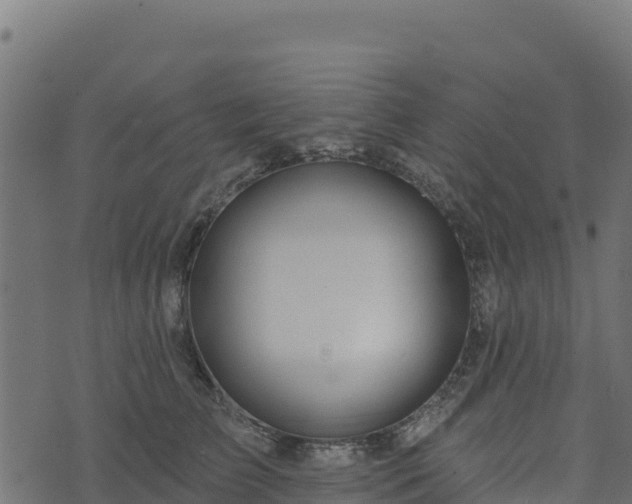 X0000073930709200608181114