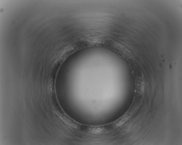 X0000073930710200608181114