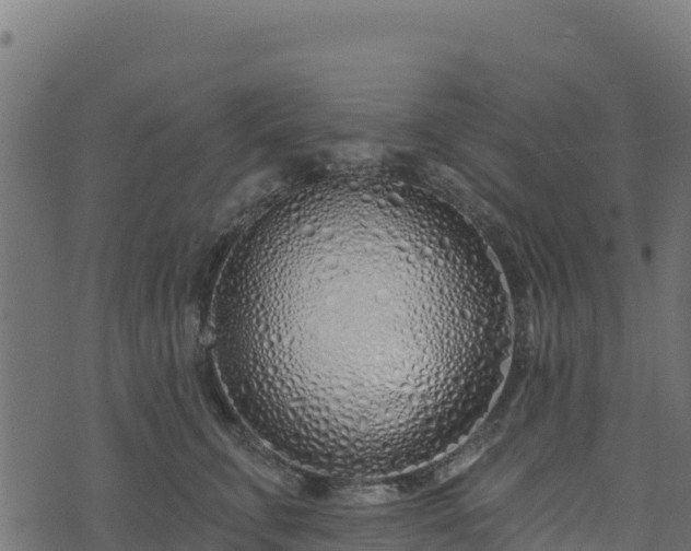 X0000073930711200608181114