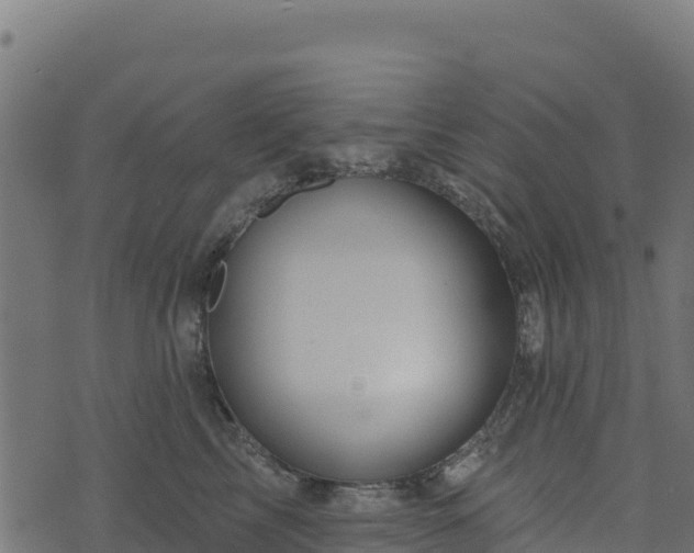 X0000073930713200608181114