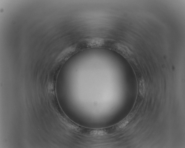 X0000073930714200608181114