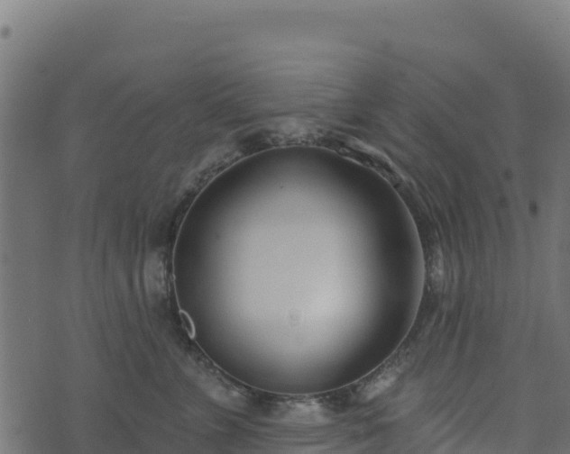 X0000073930715200608181114