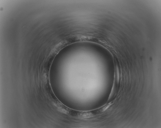 X0000073930716200608181114