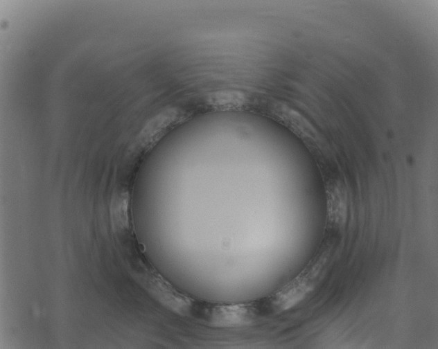 X0000073930717200608181114