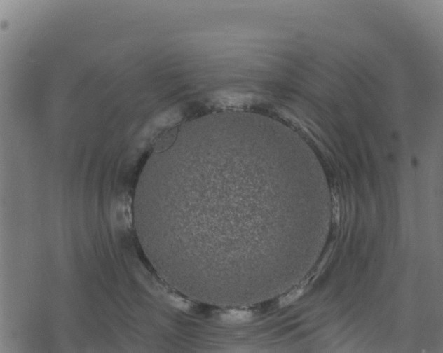 X0000073930718200608181114