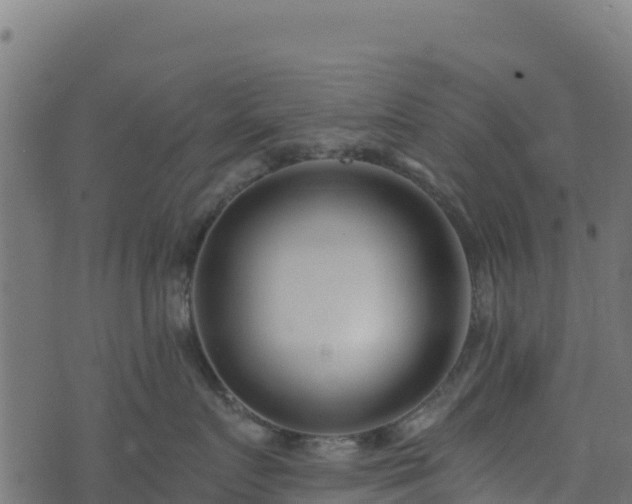 X0000073930719200608181114