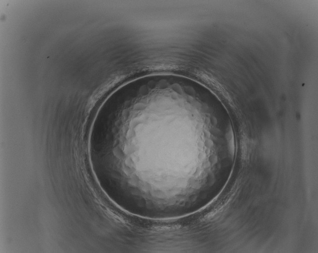 X0000073930721200608181113