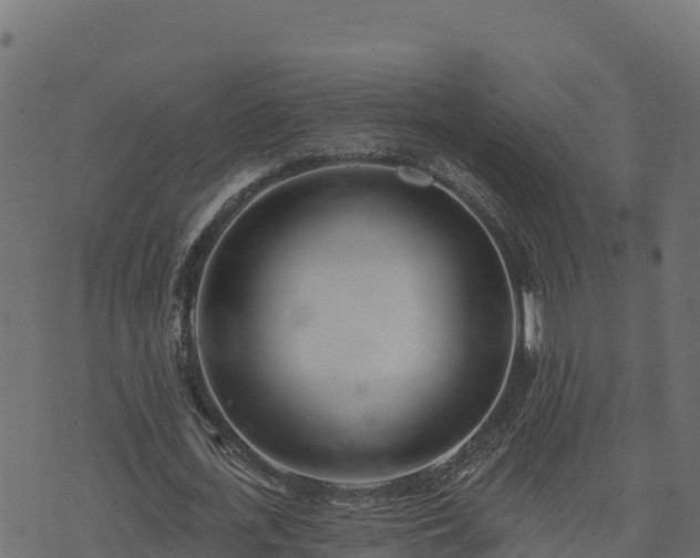 X0000073930723200608181113