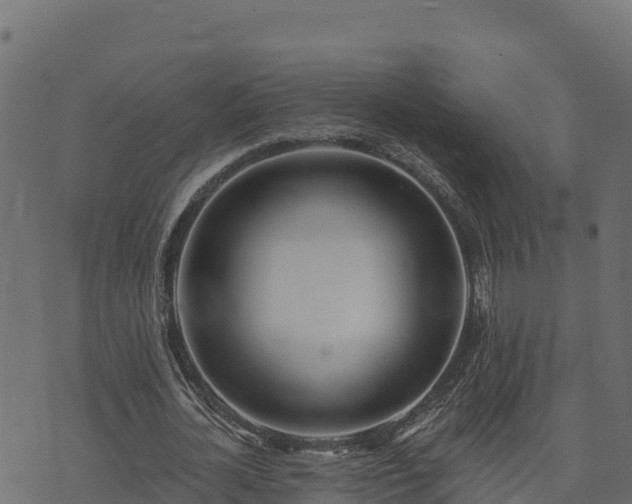 X0000073930724200608181113