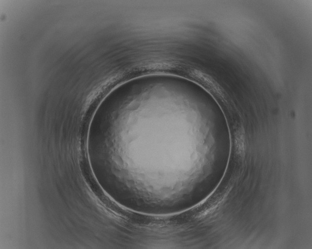 X0000073930725200608181113