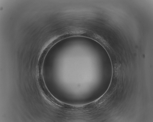 X0000073930726200608181113