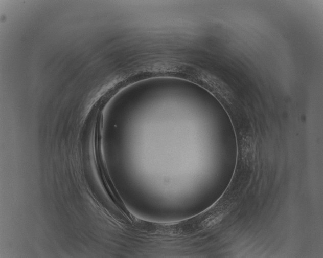 X0000073930727200608181113