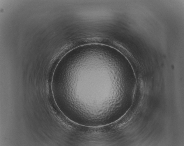 X0000073930729200608181113