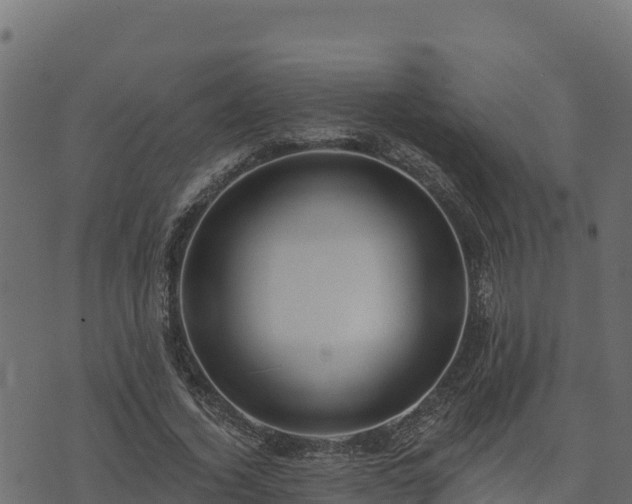 X0000073930732200608181114