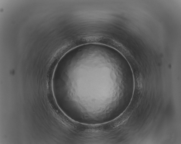 X0000073930733200608181114