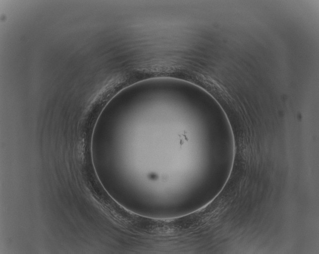 X0000073930735200608181114