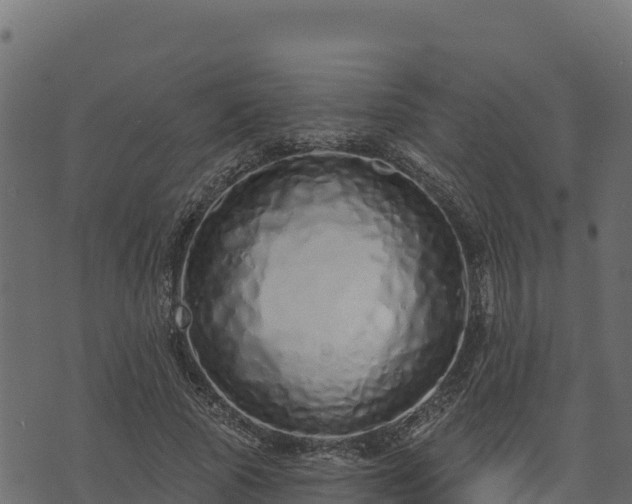 X0000073930737200608181114