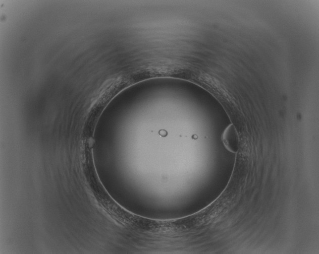 X0000073930738200608181114