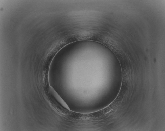 X0000073930742200608181114