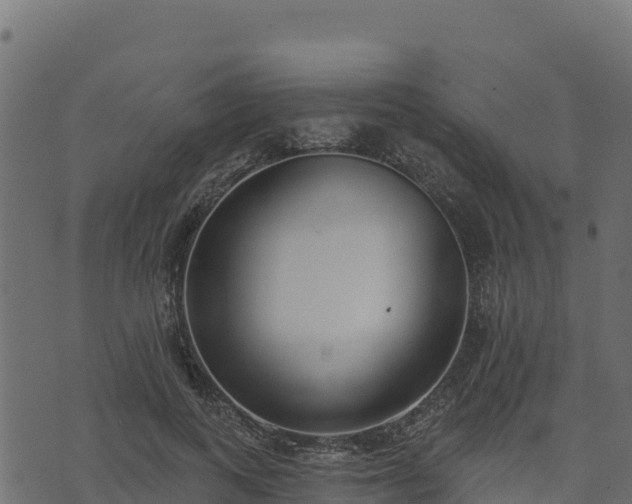 X0000073930743200608181114