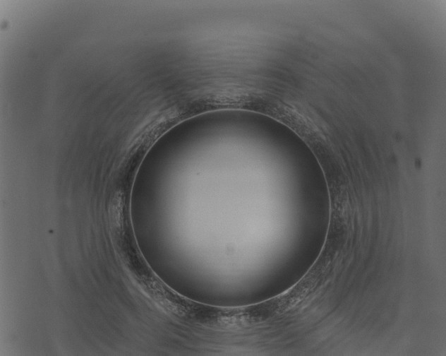 X0000073930744200608181114