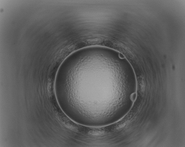 X0000073930745200608181114