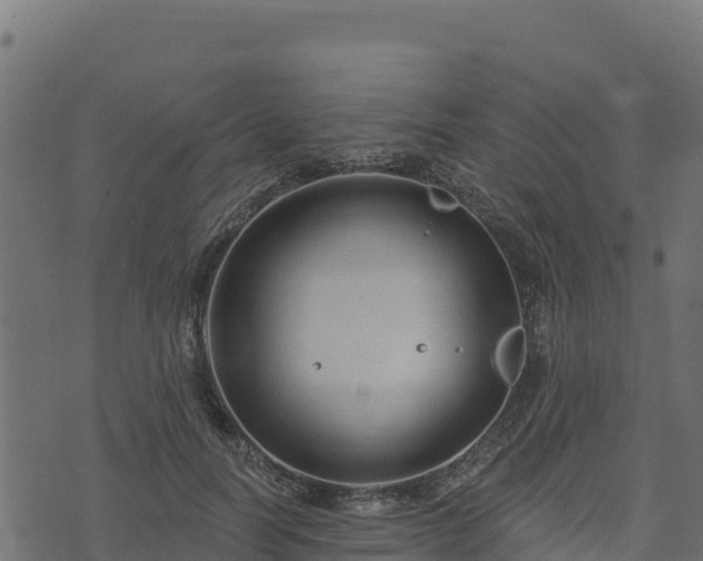 X0000073930746200608181114