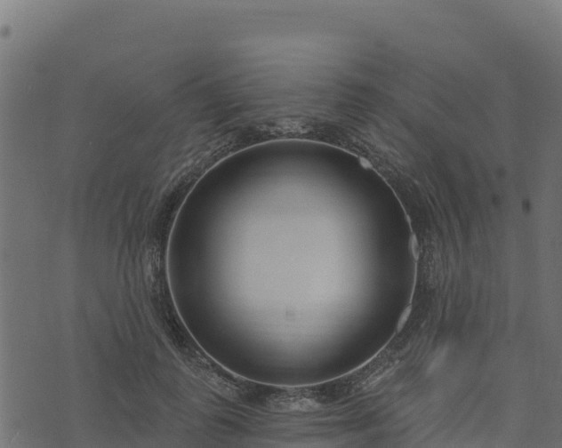 X0000073930747200608181114