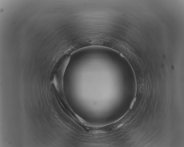 X0000073930748200608181114