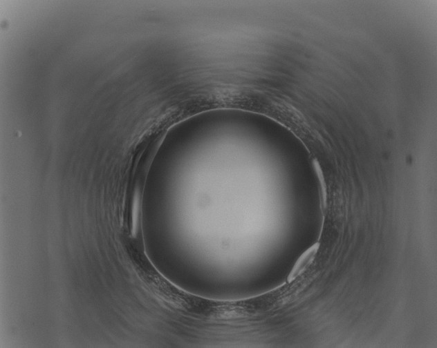 X0000073930750200608181114