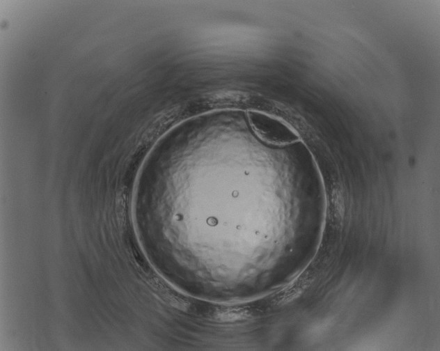 X0000073930753200608181114