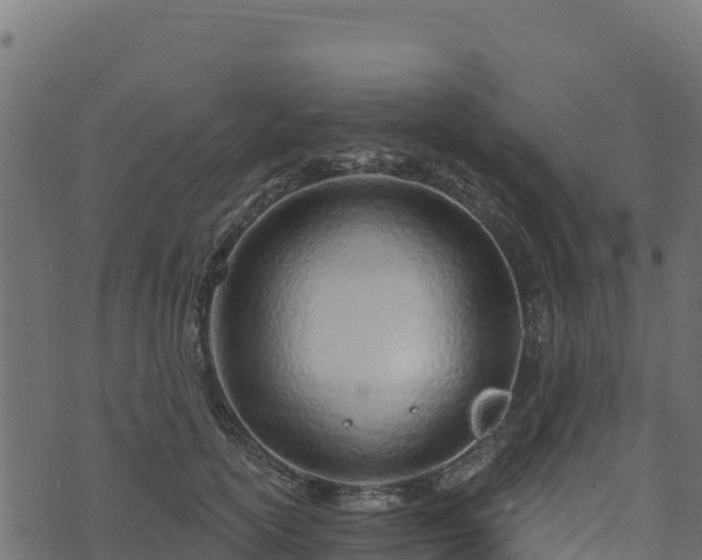 X0000073930754200608181114