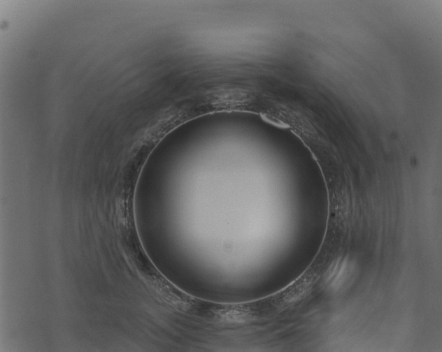 X0000073930755200608181114