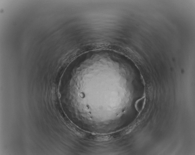 X0000073930757200608181114